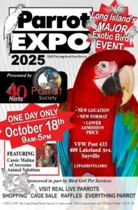 Parrot Expo Post Card Front