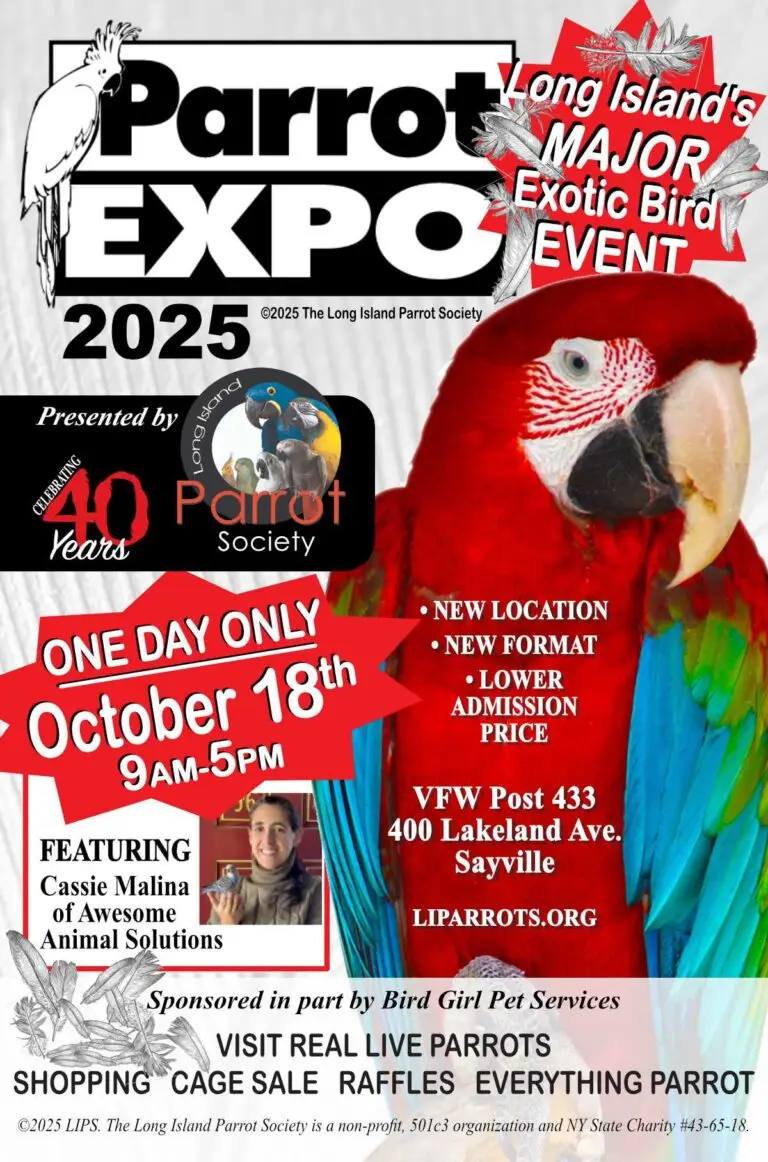 Parrot Expo Post Card Front